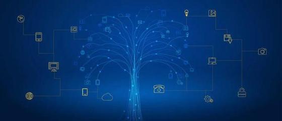 重磅发布！内江高校网络工程专业全景解析 从课程体系到就业蓝图