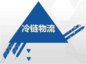 多方竞争下的冷链物流 如何以网络工程构建新的竞争优势